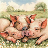 Cochon Diy Kits Acrylique Peintures Par Numéros Pour Adulte Enfant MJ8178
