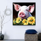 Cochon Diy Kits Acrylique Peintures Par Numéros Pour Adulte Enfant MJ8182