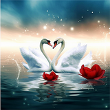 Cygne Diy Kits Acrylique Peintures Par Numéros Pour Adulte Enfant MJ9866