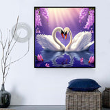 Cygne Diy Kits Acrylique Peintures Par Numéros Pour Adulte Enfant MJ9867