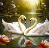 Cygne Diy Kits Acrylique Peintures Par Numéros Pour Adulte Enfant MJ9869