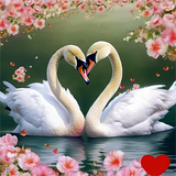 Cygne Diy Kits Acrylique Peintures Par Numéros Pour Adulte Enfant MJ9870