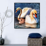 Cygne Diy Kits Acrylique Peintures Par Numéros Pour Adulte Enfant SS2017463936