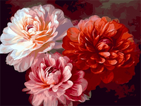 Fleur Diy Kits Acrylique Peintures Par Numéros Pour Adulte Enfant MJ2623