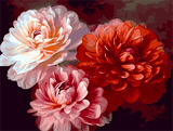 Fleur Diy Kits Acrylique Peintures Par Numéros Pour Adulte Enfant MJ2623