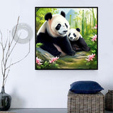 Panda Diy Kits Acrylique Peintures Par Numéros Pour Adulte Enfant MJ8060