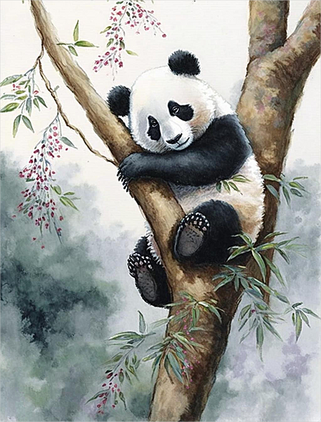 Panda Diy Kits Acrylique Peintures Par Numéros Pour Adulte Enfant MJ8081