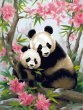Panda Diy Kits Acrylique Peintures Par Numéros Pour Adulte Enfant MJ8087