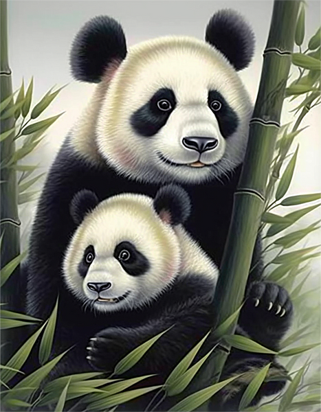 Panda Diy Kits Acrylique Peintures Par Numéros Pour Adulte Enfant MJ8088