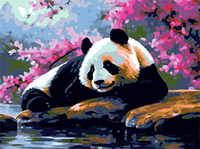 Panda Diy Kits Acrylique Peintures Par Numéros Pour Adulte Enfant MJ8096