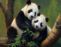 Panda Diy Kits Acrylique Peintures Par Numéros Pour Adulte Enfant MJ8097
