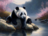 Panda Diy Kits Acrylique Peintures Par Numéros Pour Adulte Enfant MJ8100