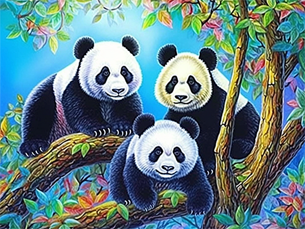 Panda Diy Kits Acrylique Peintures Par Numéros Pour Adulte Enfant MJ8101