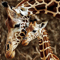 Girafe Diy Kits Peintures Par Numéros MJ8128