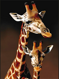 Girafe Diy Kits Acrylique Peintures Par Numéros Pour Adulte Enfant MJ8144