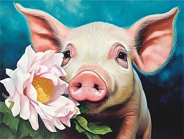 Cochon Diy Kits Acrylique Peintures Par Numéros Pour Adulte Enfant MJ8199