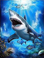 Animaux  Diy Kits Peintures Par Numéros MJ8983