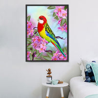 Oiseau Diy Kits Acrylique Peintures Par Numéros Pour Adulte Enfant DE99878408