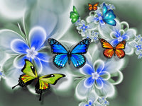 Papillon Diy Kits Acrylique Peintures Par Numéros Pour Adulte Enfant DS111280553