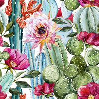 Cactus Diy Kits Acrylique Peintures Par Numéros Pour Adulte Enfant DS56551159