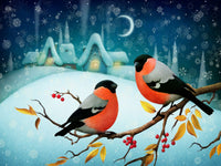Oiseau Diy Kits Acrylique Peintures Par Numéros Pour Adulte Enfant DS60486428