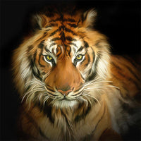 Tigre Diy Kits Peintures Par Numéros DS6825186
