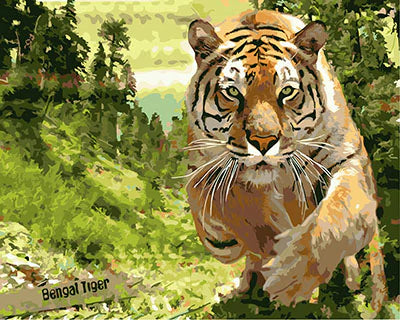Tigre Diy Kits Acrylique Peintures Par Numéros Pour Adulte Enfant GX27312