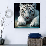Tigre Diy Kits Acrylique Peintures Par Numéros Pour Adulte Enfant MJ1186