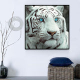 Tigre Diy Kits Acrylique Peintures Par Numéros Pour Adulte Enfant MJ1203