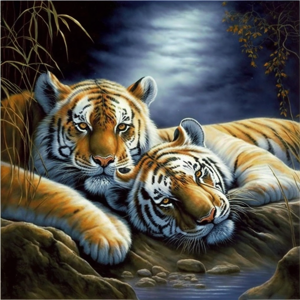 Tigre Diy Kits Acrylique Peintures Par Numéros Pour Adulte Enfant MJ1207