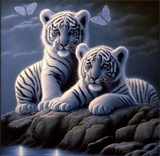 Tigre Diy Kits Acrylique Peintures Par Numéros Pour Adulte Enfant MJ1208