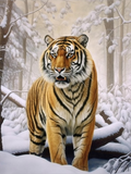 Tigre Diy Kits Acrylique Peintures Par Numéros Pour Adulte Enfant MJ1239