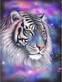 Tigre Diy Kits Acrylique Peintures Par Numéros Pour Adulte Enfant MJ1262