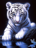 Tigre Diy Kits Acrylique Peintures Par Numéros Pour Adulte Enfant MJ1265