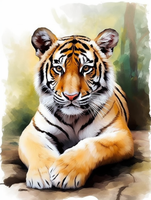 Tigre Diy Kits Acrylique Peintures Par Numéros Pour Adulte Enfant MJ1279