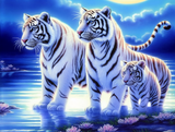 Tigre Diy Kits Acrylique Peintures Par Numéros Pour Adulte Enfant MJ1288