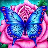 Papillon Diy Kits Acrylique Peintures Par Numéros Pour Adulte Enfant MJ1502
