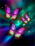 Papillon Diy Kits Acrylique Peintures Par Numéros Pour Adulte Enfant MJ1537