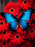 Papillon Diy Kits Acrylique Peintures Par Numéros Pour Adulte Enfant MJ1543
