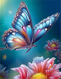 Papillon Diy Kits Acrylique Peintures Par Numéros Pour Adulte Enfant MJ1544