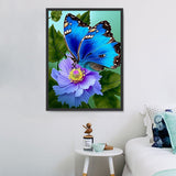 Papillon Diy Kits Acrylique Peintures Par Numéros Pour Adulte Enfant MJ1553