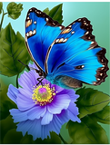 Papillon Diy Kits Acrylique Peintures Par Numéros Pour Adulte Enfant MJ1553