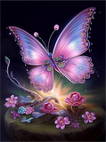 Papillon Diy Kits Acrylique Peintures Par Numéros Pour Adulte Enfant MJ1556