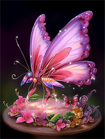 Papillon Diy Kits Acrylique Peintures Par Numéros Pour Adulte Enfant MJ1557