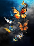 Papillon Diy Kits Acrylique Peintures Par Numéros Pour Adulte Enfant MJ1560