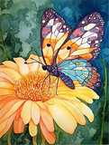 Papillon Diy Kits Acrylique Peintures Par Numéros Pour Adulte Enfant MJ1568