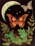 Papillon Diy Kits Acrylique Peintures Par Numéros Pour Adulte Enfant MJ1571