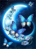 Papillon Diy Kits Acrylique Peintures Par Numéros Pour Adulte Enfant MJ1572