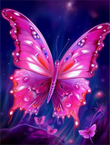 Papillon Diy Kits Acrylique Peintures Par Numéros Pour Adulte Enfant MJ1574
