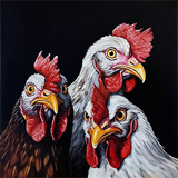 Poulet Diy Kits Acrylique Peintures Par Numéros Pour Adulte Enfant MJ1707